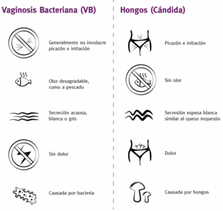 Diferencia Entre Vaginosis Bacteriana Y Candidiasis Vaginal Multi Gyn