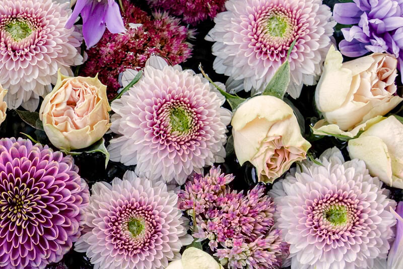 Multi-Gyn_800x534_Banner_VaginalFloraArticle2