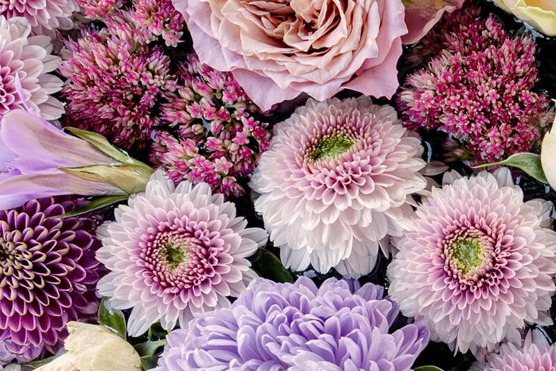 Multi-Gyn_800x534_Banner_VaginalFloraArticle1