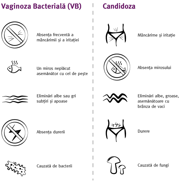 BV-VS-Yeast-Infographic