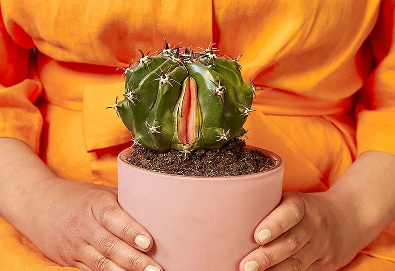 vaginal-smell-cactus