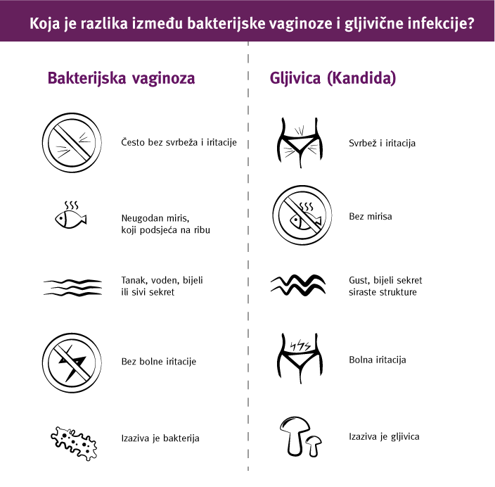 Infographic-Bacterial-Vaginosis-versus-Yeast